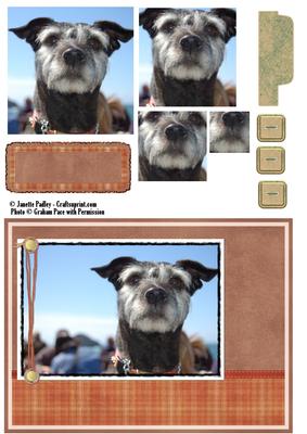 Beauty Dog Card Kit