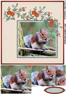 Squirill 8 X8 Card Kit