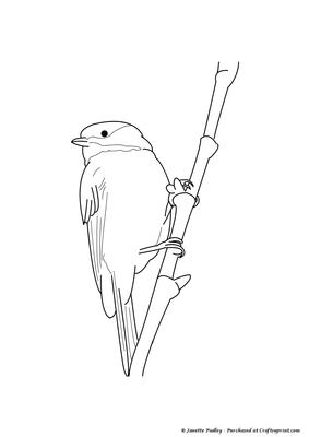 Finch on Branch Stamp