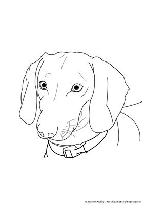 Jake the Doxie Stamp