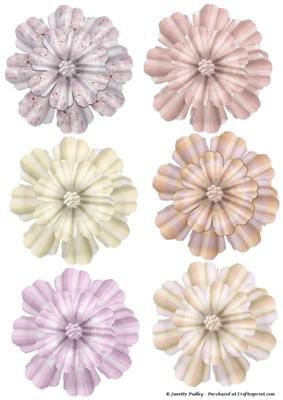 Fairies Flowers