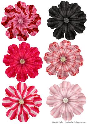 Pretty in Pink Flowers