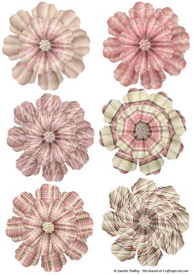 Strawberry Shortcake Flowers