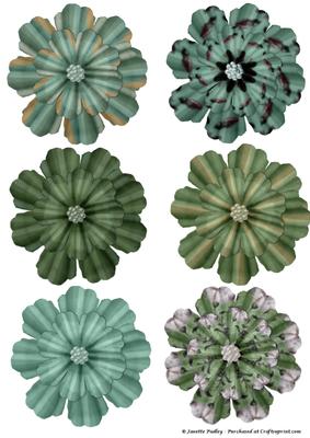 Sarah Flower Pack