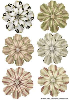 Sarahs Secret Garden Flower Pack
