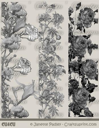 Greyscale Floral Borders 1