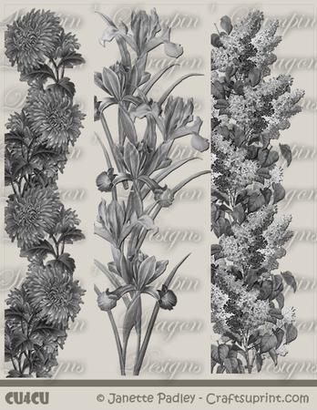 Greyscale Floral Borders 2