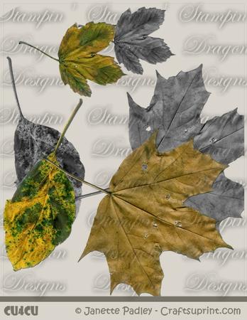 Leaves Designer Pack
