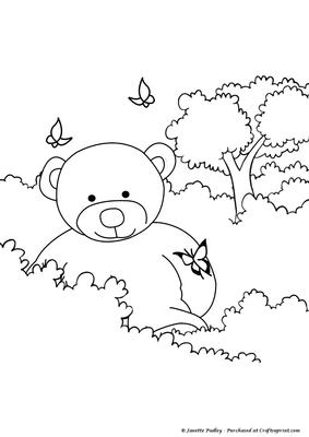 Teddys Day Out ( Butterflies)
