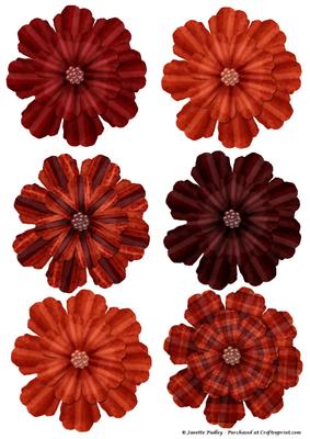 Crimson Flowers