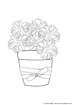 Spring Flowers in Plant Pot