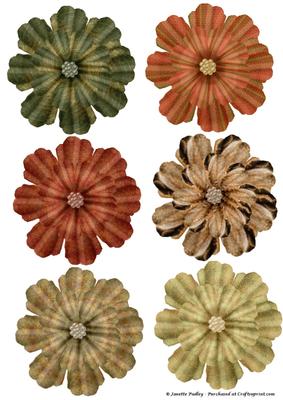 Christmastide Flowers
