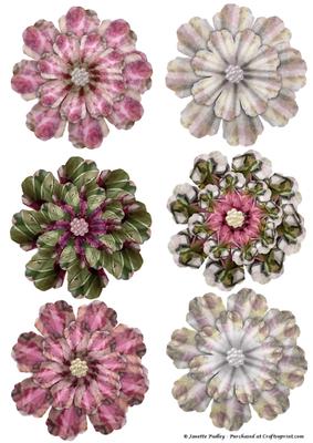 Pansy Printable Flowers