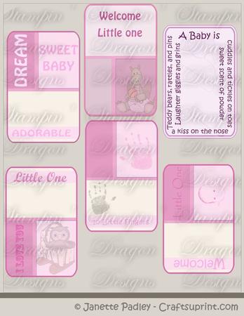 Baby Girl Journal Cards - 6 x 4