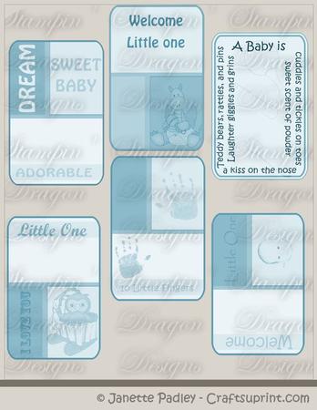Baby Boy Journal Cards - 6 x 4