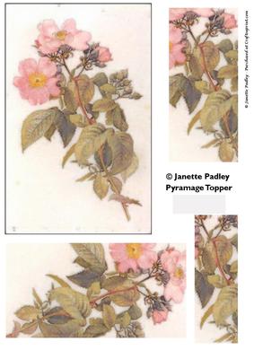 Pink Wild Rose Pyramage Topper