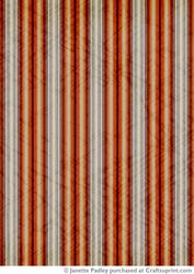 Rustic Culture Stripe