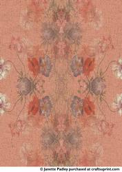 Anenome Paper 1