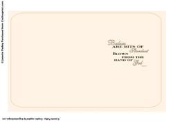 Baby Card Insert