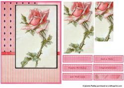 Floral Step by Step Card - Pink
