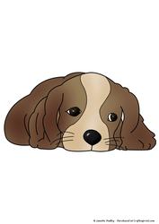 Spaniel Pup Coloured