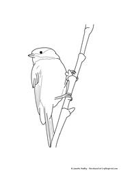 Finch on Branch Stamp