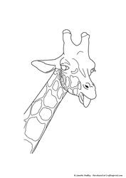 Giraffe - Stamp
