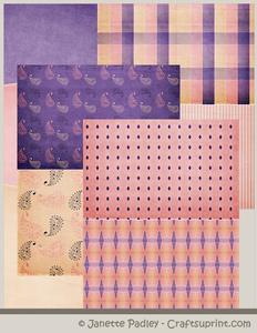 Passionately Paisley Card Papers