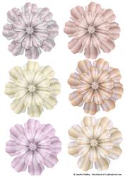 Fairies Flowers