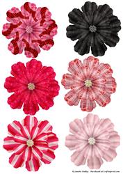 Pretty in Pink Flowers