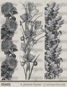 Greyscale Floral Borders 2