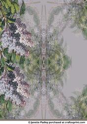 Floral Splendor - Lilac - Paper 6