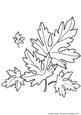 Autumn Leaves Stamp Free Wording