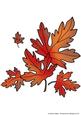 Autumn Leaves Coloured Stamp Free Wording