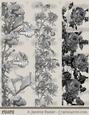 Greyscale Floral Borders 1