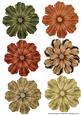 Christmastide Flowers