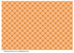 Quilted Backing in Peach