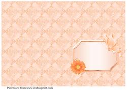 A5 Peach Butterfly Portrait Insert