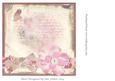 Insert to Match Shabby Chic in Pink