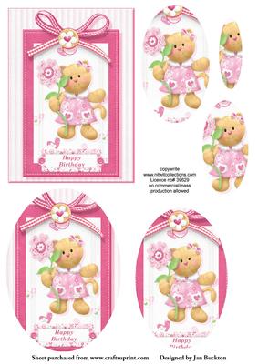 Cute Cat Birthday Pyramage Card Front/topper