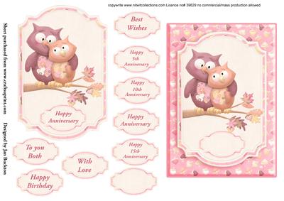 Wise Owls Anniversary/birthday Card Front