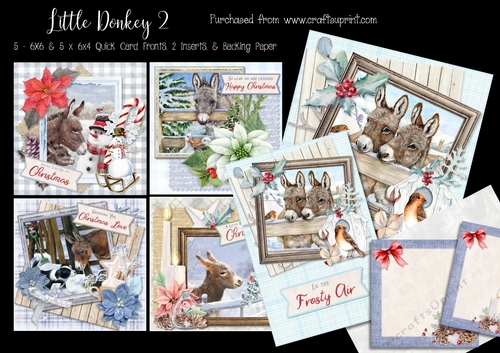 Little Donkey 2 - 5 6x6 & 5 6x4 Card Fronts, 2 Inserts & Backing Paper