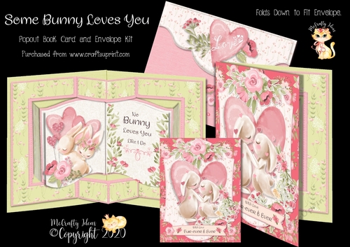 Some Bunny Loves You Pop Out Book Card and Envelope Kit.