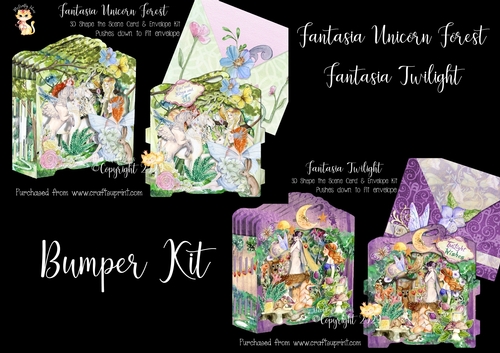 Fantasia Bumper Kit 2 Shape the Scene 3D Card and Envelope Kit.