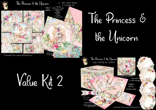 The Princess and the Unicorn Value Kit 2