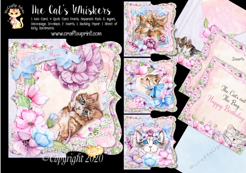 The Cats Whiskers 6x6 Cards