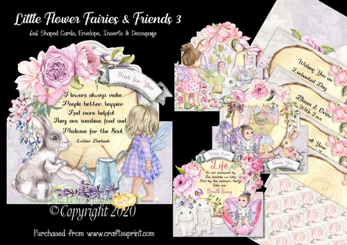 Little Flower Fairies & Friends 3  6x6 Cards