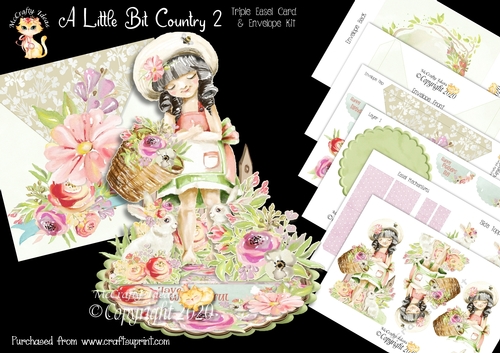 A Little Bit Country 2 Triple Easel Card Mini Kit