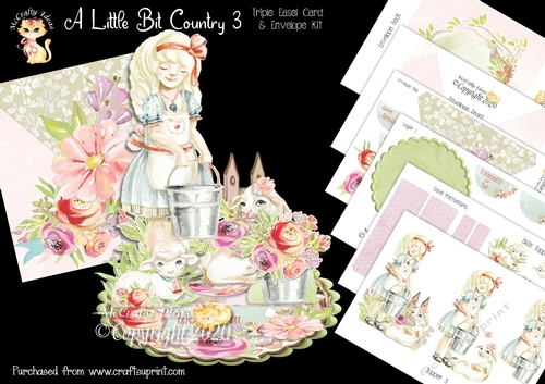 A Little Bit Country 3 Triple Easel Card Mini Kit