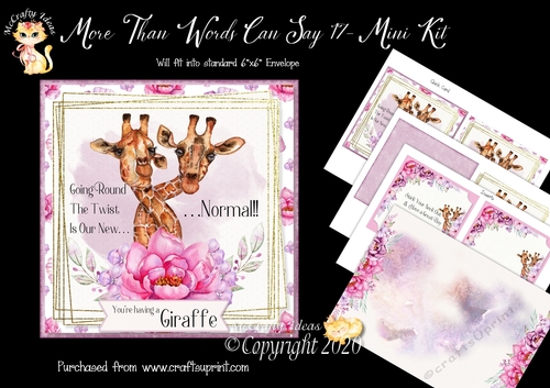 More Than Words Can Say 17 Card Front and Inserts Kit